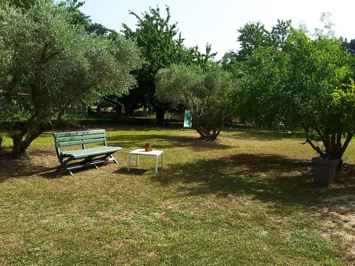 Maison De Charme Avec Jardin Prive A Chateaurenard Holiday home