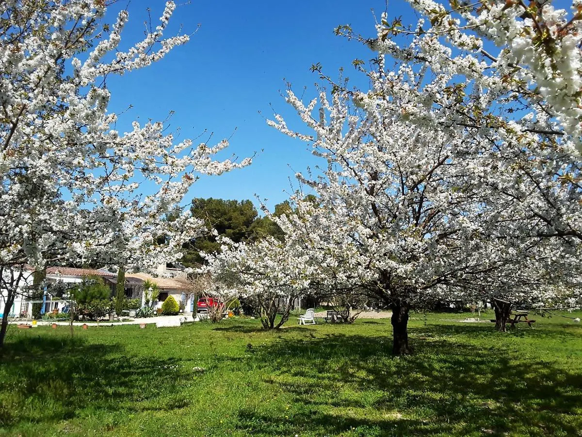Maison De Charme Avec Jardin Prive A Chateaurenard