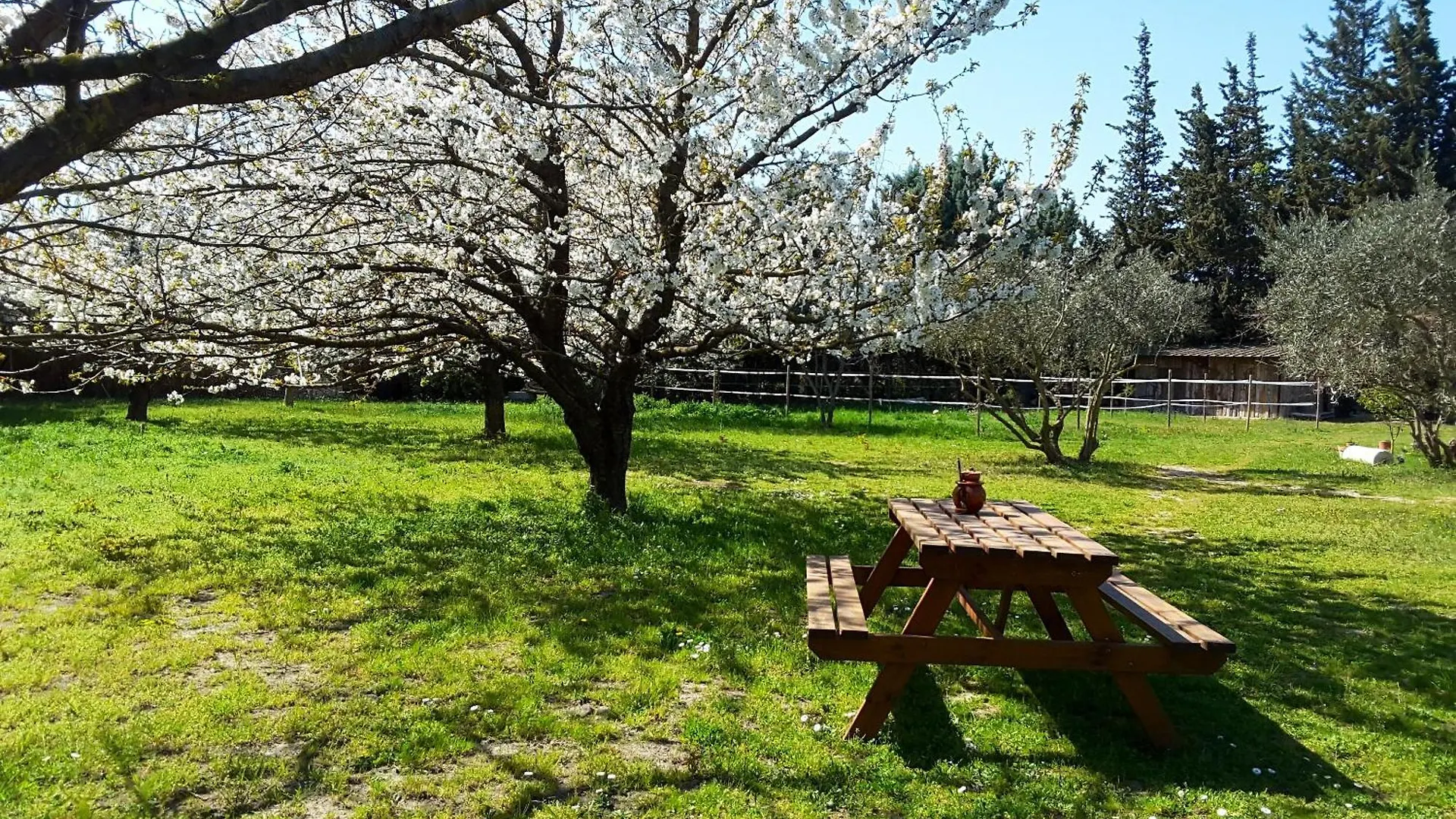 Holiday home Maison De Charme Avec Jardin Prive A Chateaurenard France