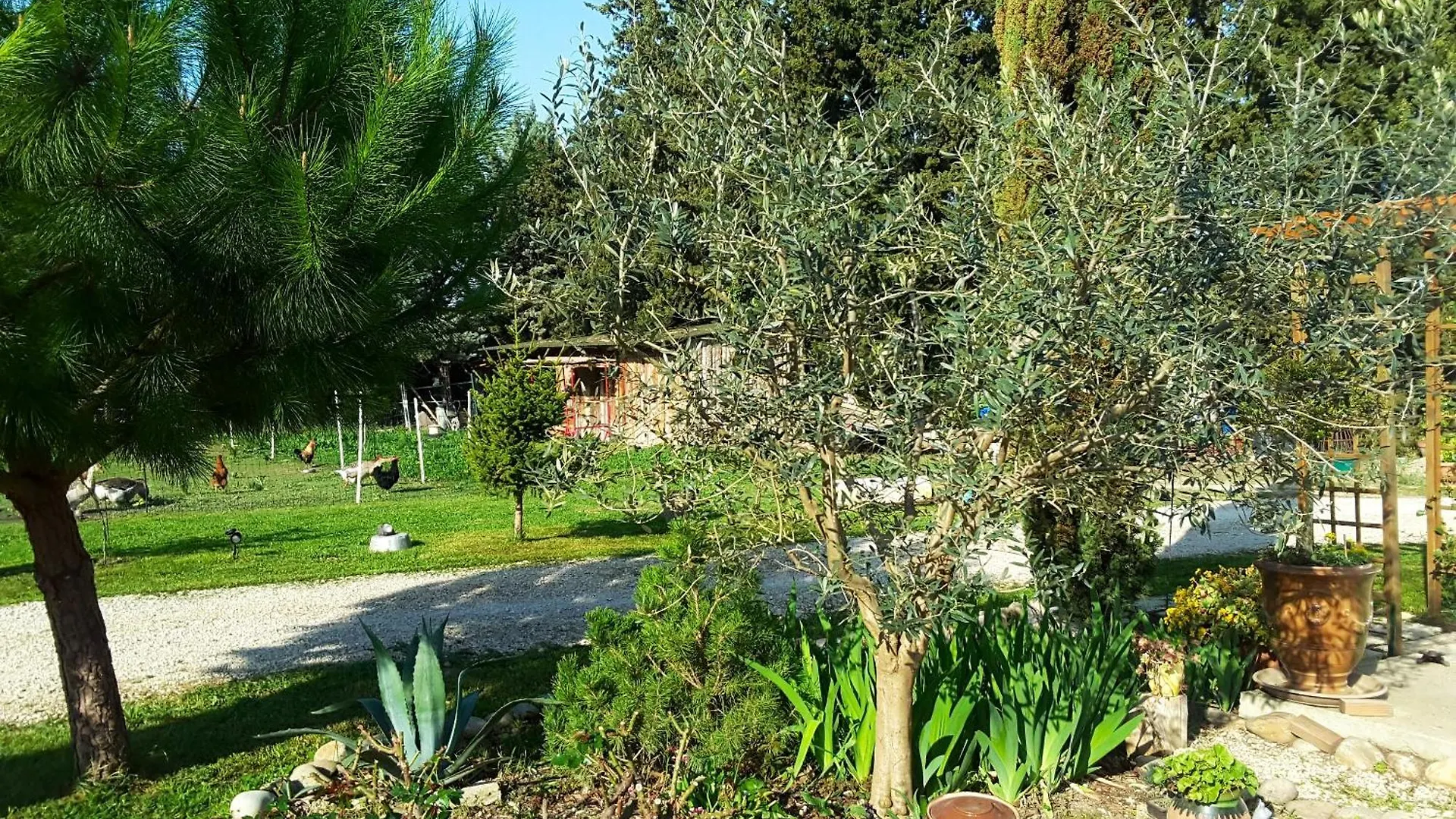 Maison De Charme Avec Jardin Prive A Chateaurenard
